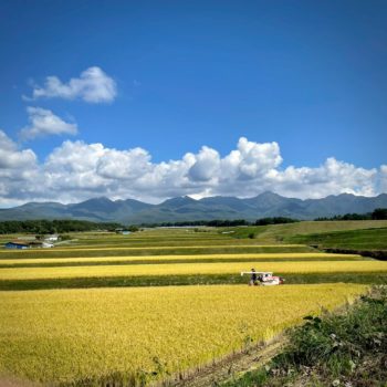 つくり手紹介「ツキノキマルシェ」ハルバル商店